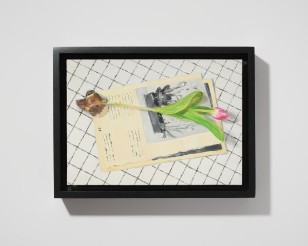 Doreen Wittenbols, Fifty-four, 2023