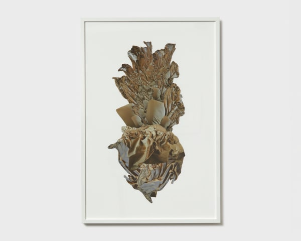 Mira Burack, Fool's Gold Bouquet 1, 2023