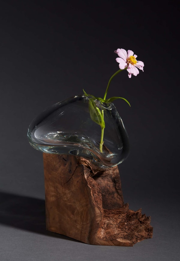 Debra Baxter, Soften the Blow, 2021