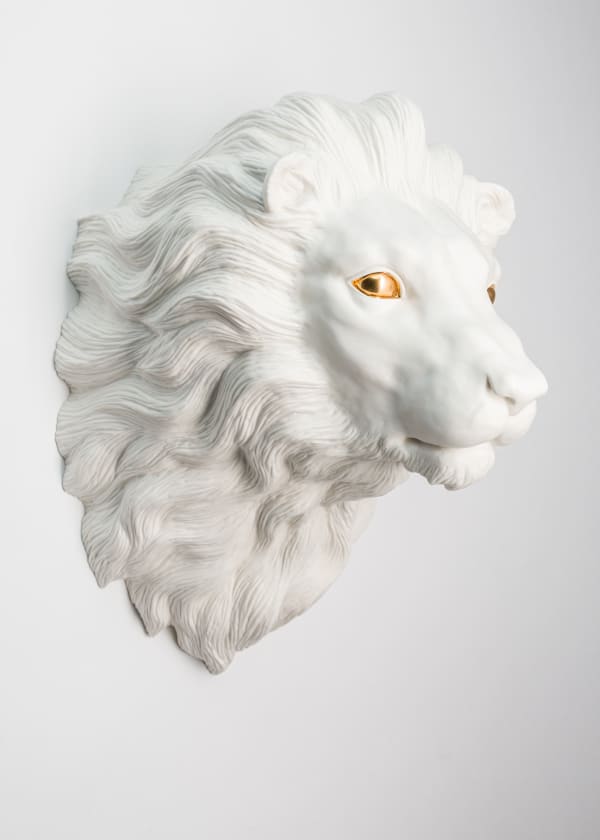Wookjae Maeng, Balance - Lion A, 2017