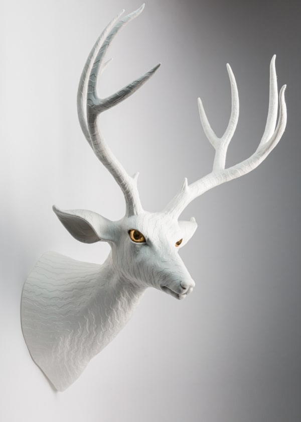 Wookjae Maeng, Mule Deer - Left, 2017