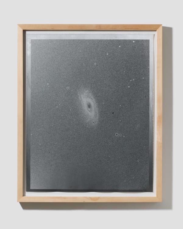 Dan Hojnacki, Andromeda, 2022