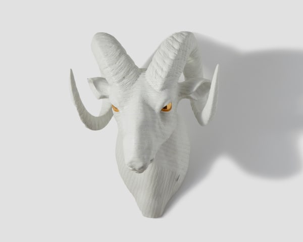 Wookjae Maeng, Adaptation #03-Big Horn Sheep, 2012