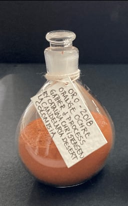 Catalina Christensen, Orange Ochre Pigment