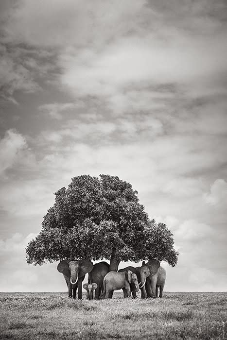 Drew Doggett, The Gathering, 2020