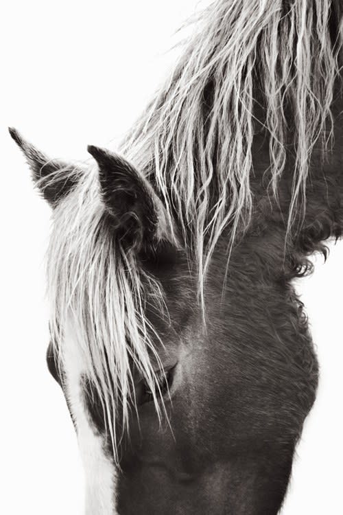 Drew Doggett, Whisper, 2012