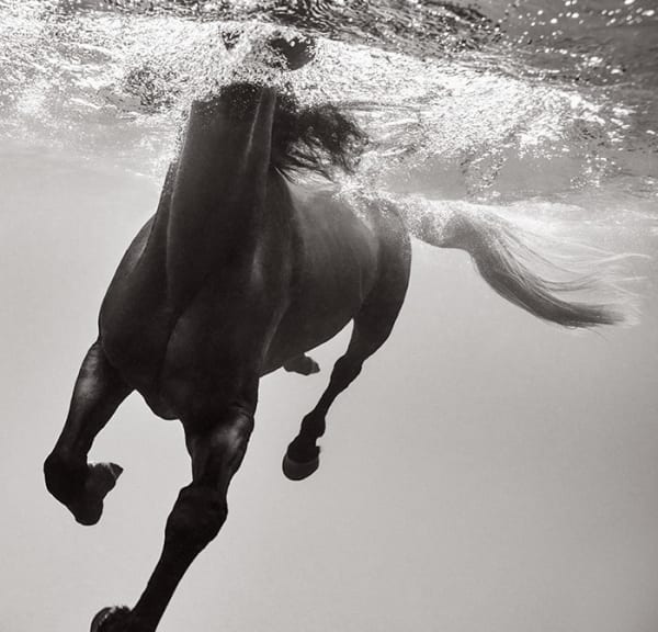 Drew Doggett, Immersion, 2022