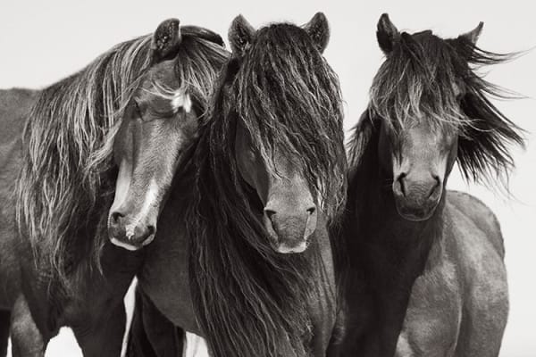Drew Doggett, Trinity, 2019