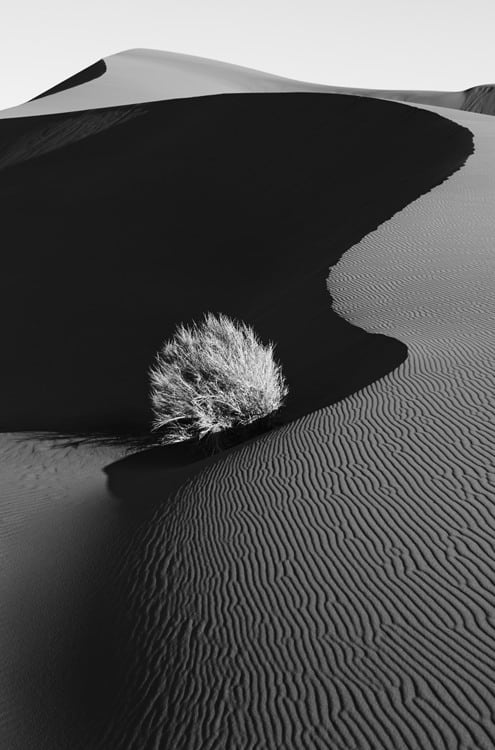 Drew Doggett, Haven, 2015