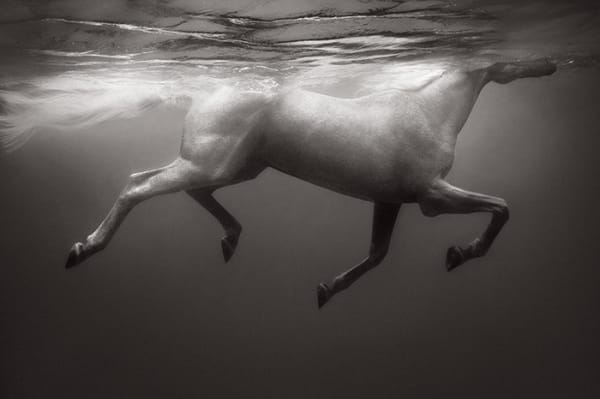 Drew Doggett, Celestial Light, 2022