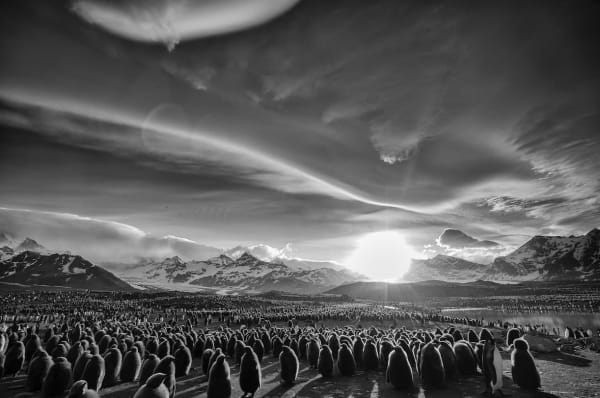 Chris Fallows, Intrare et Exire , 202