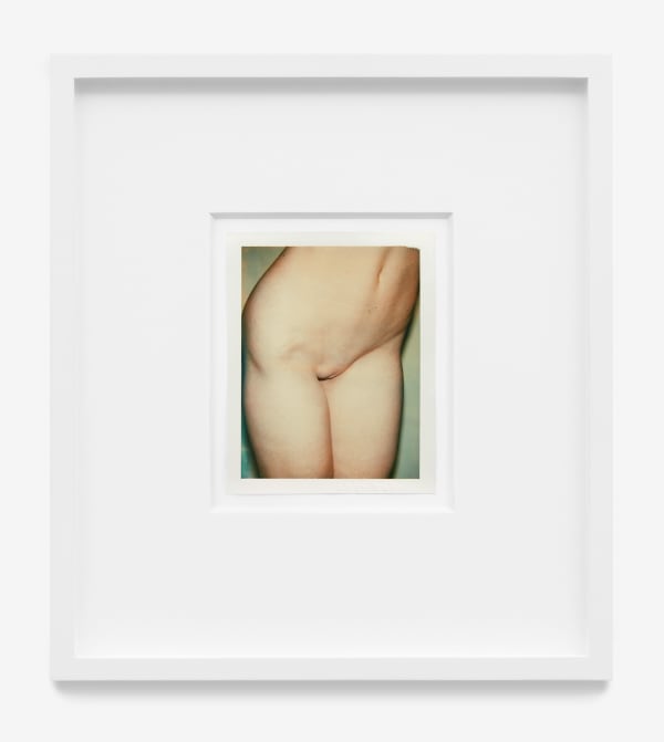 Andy Warhol, Nude Model (Venus), 1977