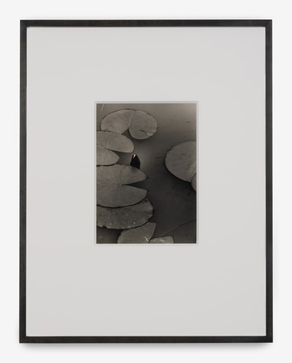 Benita Koch-Otte, Water Lily, ca. 1930