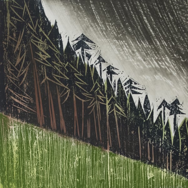 Willie Rodger Across the Board