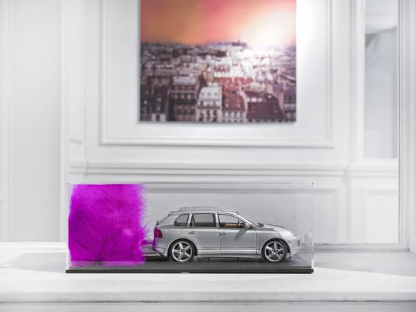 "HeHe - Antroposphere": installation view / Aeroplastics @ Rue Blanche, Brussels, 2014 / Porsche's Plume (2011)