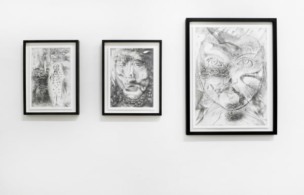"Dennis Scholl - Les non-dupes errent' / exhibition view at Aeroplastics, Rue Blanche Str., 2013.