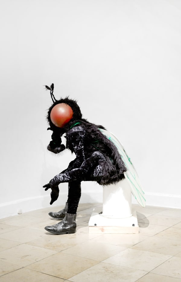 'The aspiration factory' Installation view at Aeroplastics, Brussels, 2012. John Isaacs, 'A Darker Picture of the Delusional (The Fly)', 2006