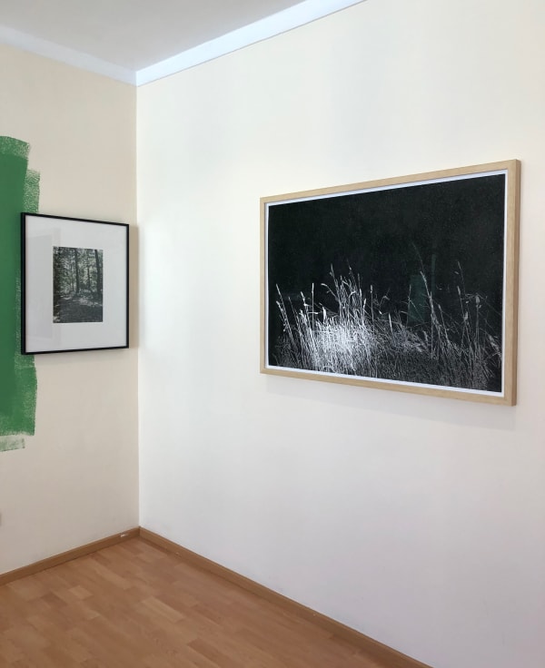 Into the Woods with John Isaacs and Sylvain Ciavaldini