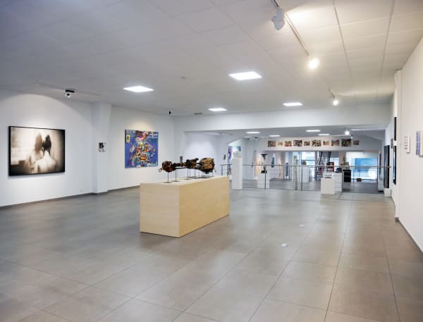 Eyes Wide Open: installation view of the Showroom / Aeroplastics at 207VDK, 2022