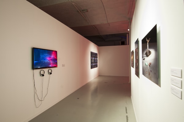 'So many steps, so little time': exhibition view De Bond, Bruges, 2016-2017