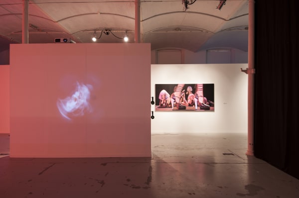 'So many steps, so little time': exhibition view De Bond, Bruges, 2016-2017
