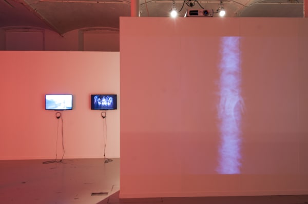 'So many steps, so little time': exhibition view De Bond, Bruges, 2016-2017