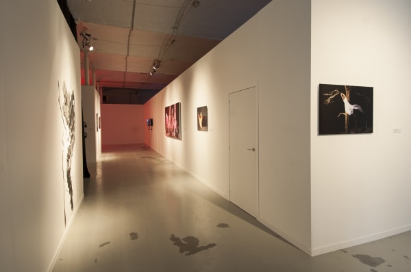 'So many steps, so little time': exhibition view De Bond, Bruges, 2016-2017