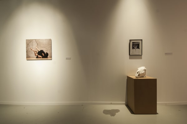 'So many steps, so little time': exhibition view De Bond, Bruges, 2016-2017