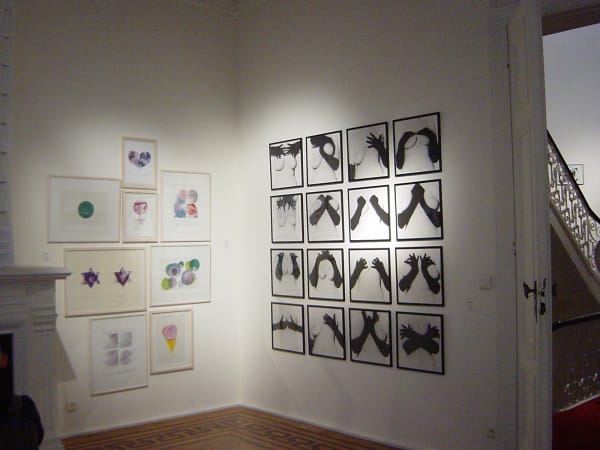 Female Turbulence: exhibition view / group show at Aeroplastics, Rue Blanche Str, Brussels / works by Annie SPRINKLE