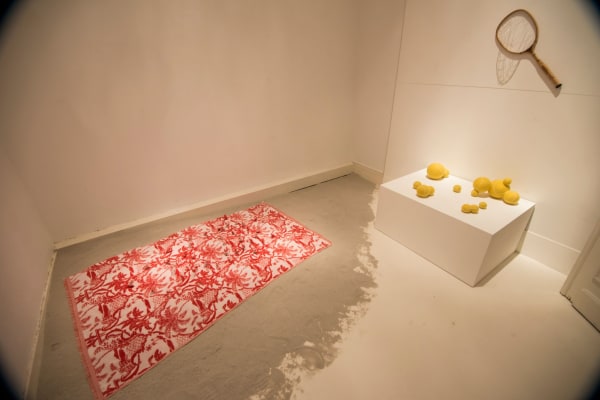 "Prememories": exhibition view Aeroplastics @ Rue Blanche, Brussels, 2016 works by Elodie Antoine