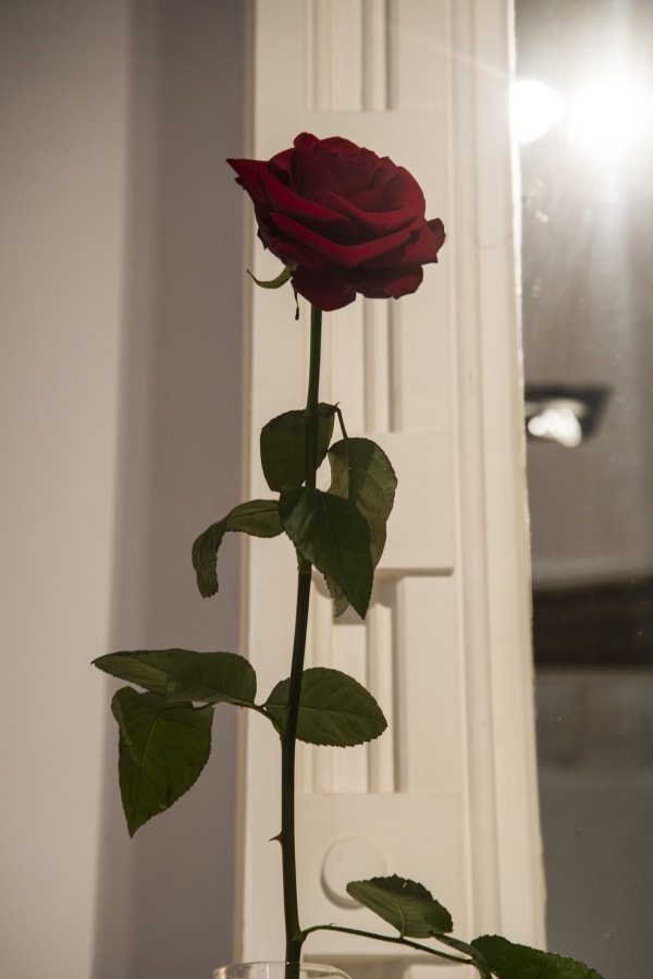 ''Dark Ages'' / exhibition view at Aeroplastics, Rue Blanche Str., 2015-2016 / work by Joseph BEUYS