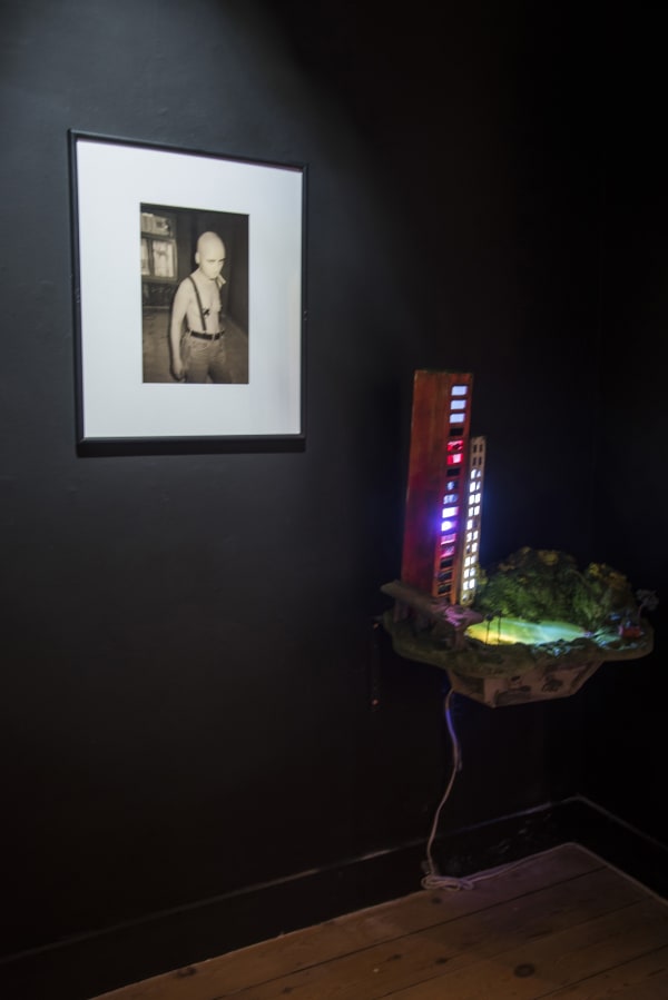 ''Dark Ages'' / exhibition view at Aeroplastics, Rue Blanche Str., 2015-2016 / works by Del Lagrace VOLCANO and Tracey SNELLING