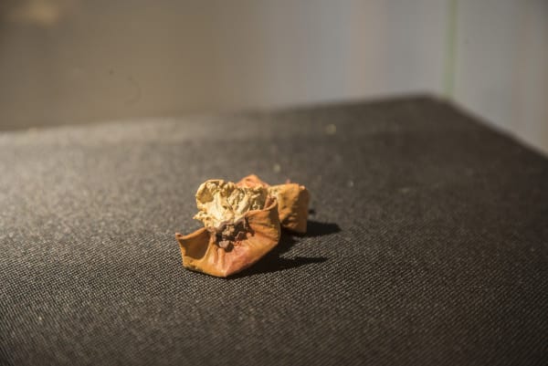 ''Dark Ages'' / exhibition view at Aeroplastics, Rue Blanche Str., 2015-2016 / work by Gavin TURK