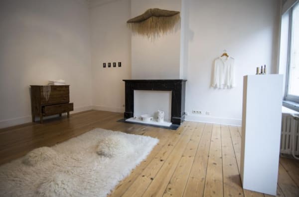 ''Elodie Antoine: Delinquescence'': exhibition view Aeroplastics @ Rue Blanche str, 2015.