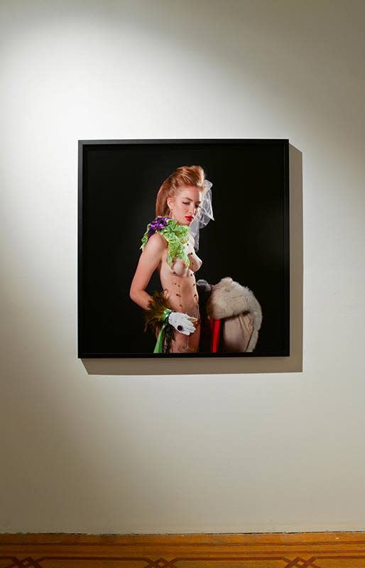 "Terry Rodgers - Approximations of the sublime" exhibition view Aeroplastics @ Rue Blanche Str., 2013