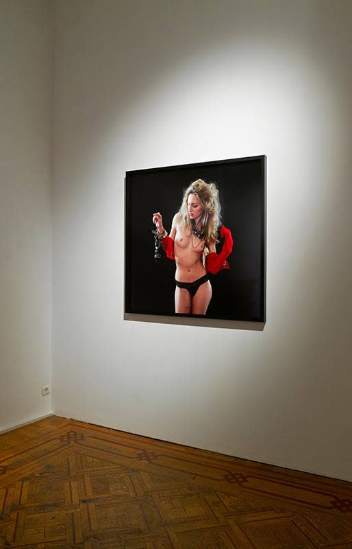 "Terry Rodgers - Approximations of the sublime" exhibition view Aeroplastics @ Rue Blanche Str., 2013