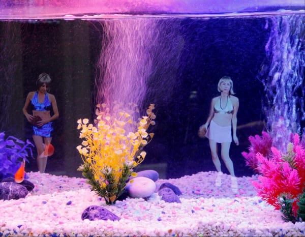 Pierrick Sorin 'C'est mignon tour ça': exhibition view Aeroplastics, Rue Blanche Str., Brussels, 2010 / 'Aquarium aux danseuses', 2010