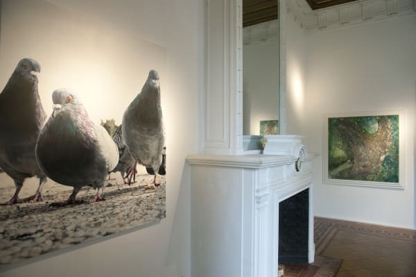 The Rabus Show: exhibition view / Aeroplastics @ Rue Blanche Str, Brussels, 2009 / ph: P. W. Henry