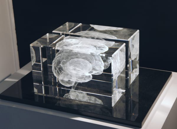 Diffracted solstice: exhibition view / Aeroplastics @ Rue Blanche Str., Brussels. Ph: Vincent Everarts / work by Katharine Dowson