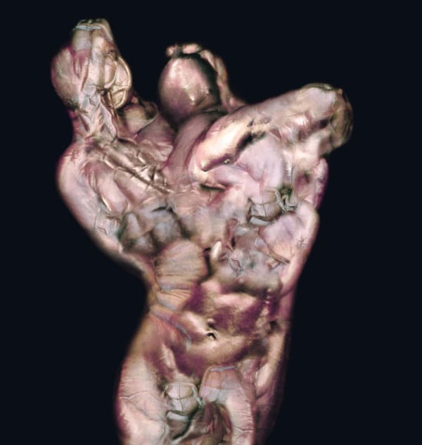 Robert Gligorov, HULK, 1997, color print, 110 x 110 cm Courtesy of Aeroplastics contemporary, Brussels