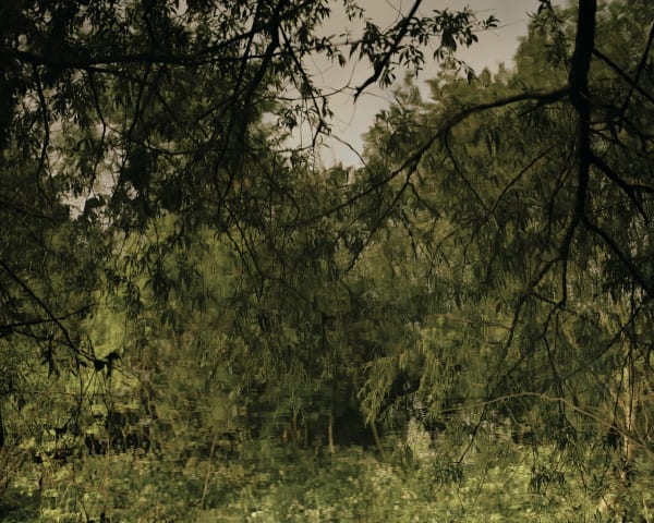 Eye of the Collector 2022