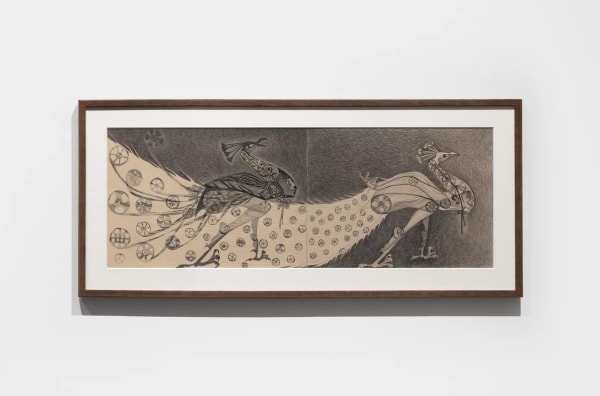 ‘White Peacocks Shadow’, Graphite on Paper, 29.7 x 42 cm, 2023
