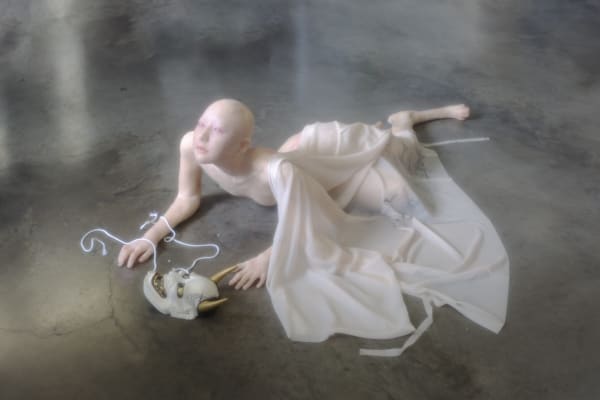 The Room it Leaks by Xinyu XuXX. Courtesy of Queer East