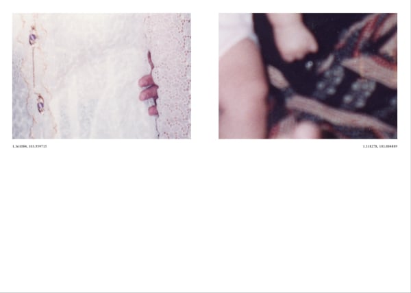 These Hands Shall Carry You Home, Elizabeth Gabrielle Lee