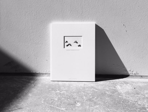 Just Like Me, But Different, Fiona Ones