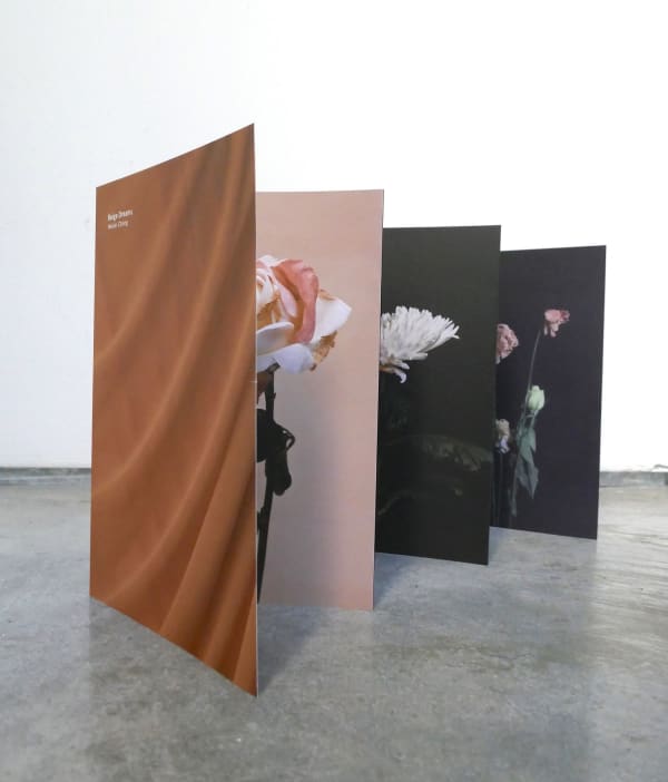 Beige Dreams, WeiXin Quek Chong