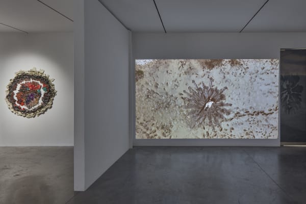 Brie Ruais: Some Things I Know About Being In A Body. December 9, 2021 - January 22, 2022. albertz benda, New York. Photo: Stefan Hagen
