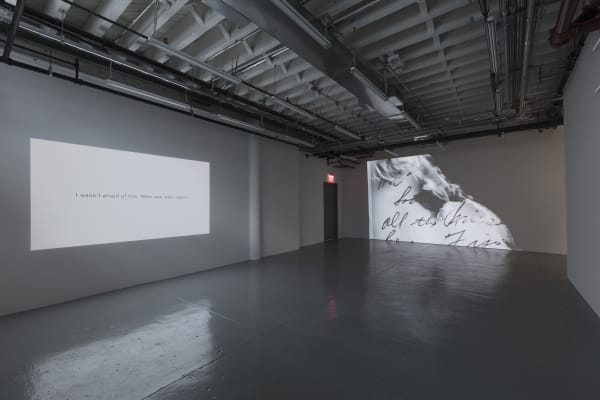 TR Ericsson: Cinders. Installation view. November 30, 2017 - January 13, 2018. albertz benda, New York.