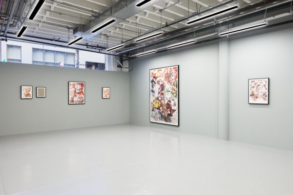 Dennis Scholl: The Book of Impure Intentions, installation view. October 12 - November 18, 2017. albertz benda, New York