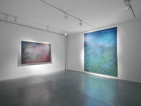 Ena Swansea: New Paintings. Oct 27 - Dec 17, 2016. albertz benda, New York. Photo by Christopher Burke Studio